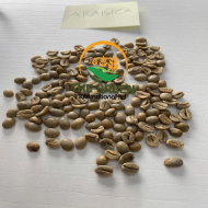 Arabica & Robusta Coffee Beans – Stock Available - Image 2