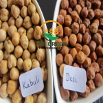 Kabuli and Desi Chickpeas – Stock Available