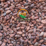 Cocoa Beans – Stock Available