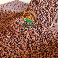 Cocoa Beans – Stock Available - Image 2