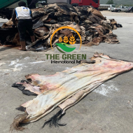 Fresh Cow Hides – Stock Available