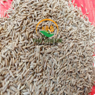 Cumin Seeds – Stock Available - Image 2