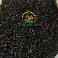 Dried Mulberry – Stock Available - Image 3