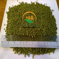 Green Mung Beans – Stock Available