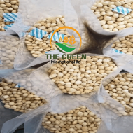 Macadamia Nuts – Stock Available - Image 2