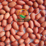 Peanuts – Stock Available