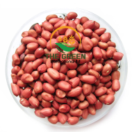 Peanuts – Stock Available - Image 3