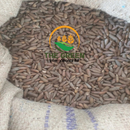 Pine Nuts – Stock Available - Image 3