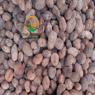 Shea Butter Nuts - Stock Available