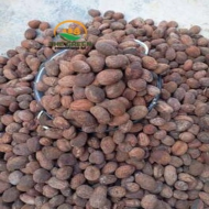 Shea Butter Nuts - Stock Available - Image 2