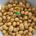 Soya Beans – Stock Available