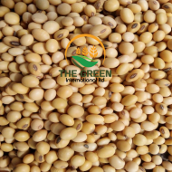 Soya Beans – Stock Available - Image 2