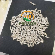 Sunflower Seeds and Kernels – Stock Available - Image 2