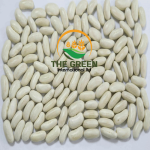 White Beans – Stock Available