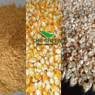Non-GMO White & Yellow Corn  – Stock Available