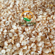 Non-GMO White & Yellow Corn  – Stock Available - Image 3