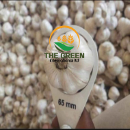 Garlic – Stock Available - Image 2