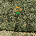 Alfalfa Hay – High-Protein Livestock Feed | Stock Available in Tanzania | Export Ready