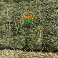 Alfalfa Hay – High-Protein Livestock Feed | Stock Available in Tanzania | Export Ready