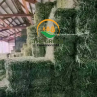 Alfalfa Hay – High-Protein Livestock Feed | Stock Available in Tanzania | Export Ready - Image 2